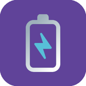 Lightning Arrestor Systems